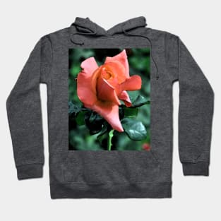 Orange Rose Bud Hoodie